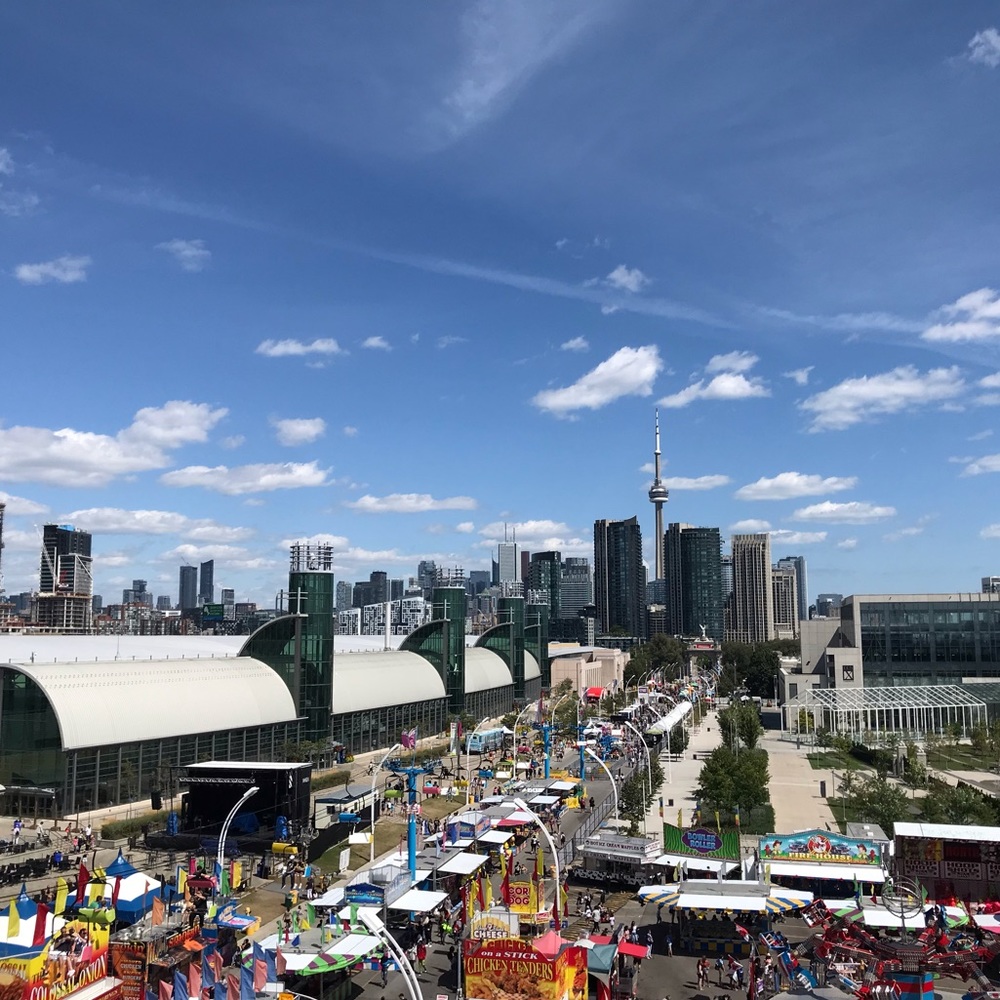 Meet your Posher, Noelle